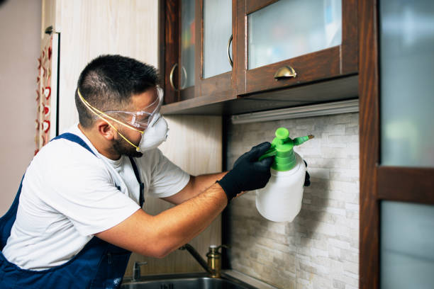 Best Pest Inspection Near Me  in West Point, KY