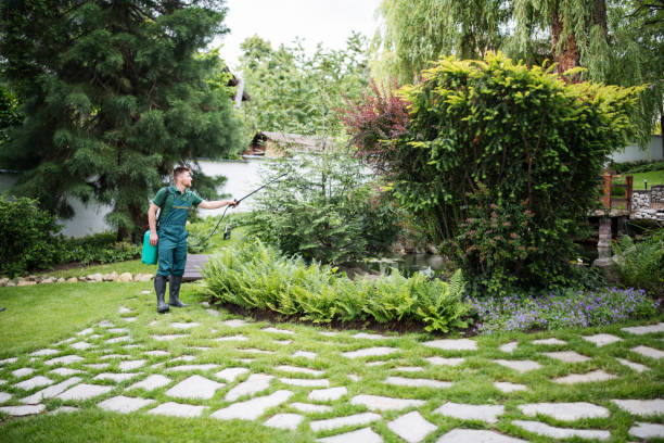 Best Affordable Pest Control Services  in West Point, KY